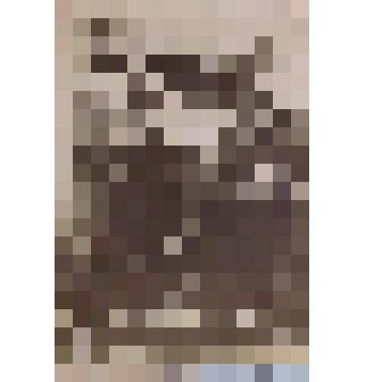 Фотография групповая.  После войны