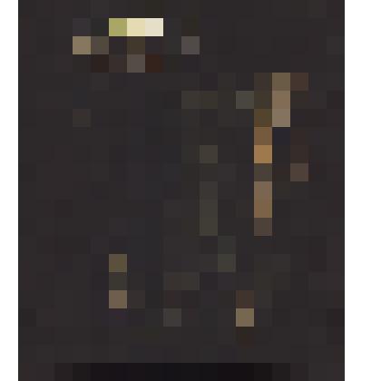 Пища богов. Инсталляции "Пища богов". Часть составной инсталляции. Часть 2