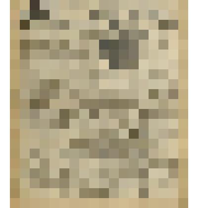 Газета. "Красный кавалерист" № 150