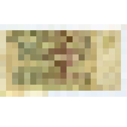 Государственный казначейский билет  СССР достоинством  один рубль