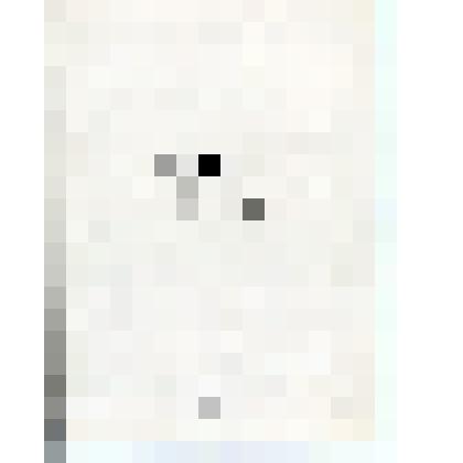 Рапорт трудящихся г. онеги и Онежского района XXV съезду КПСС