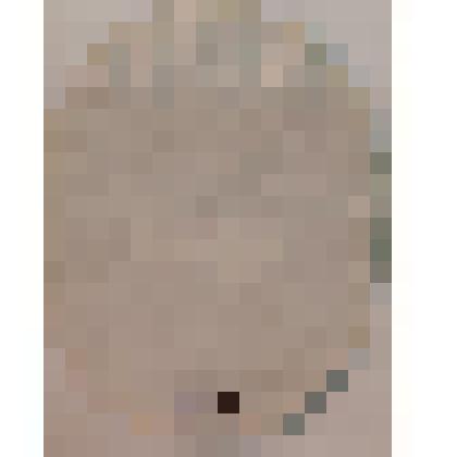 Этикетка. Пиво «Сталинградское»