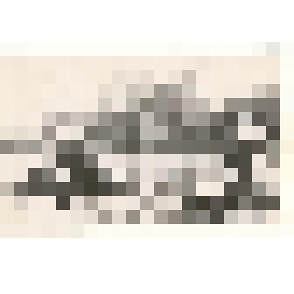 Фотография: сенокос в колхозах и совхозах Каменского территориального управления