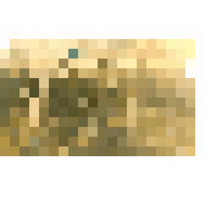 Фотография. Ветераны Волховского фронта - Чугуев С.С, Витошкин А.Д., командир 374 стрелковой дивизии, и Богосьян