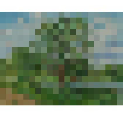 Картина "Лесная дорога"