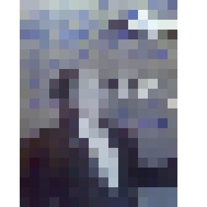 Солист оперы