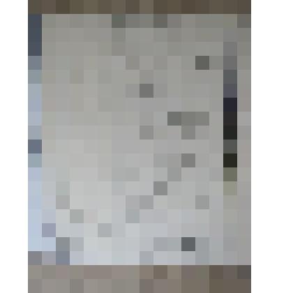 Выписка из метрической книги Предтеченской церкви с. Рябово за 1856 год о рождении Аполлинария Михайловича Васнецова