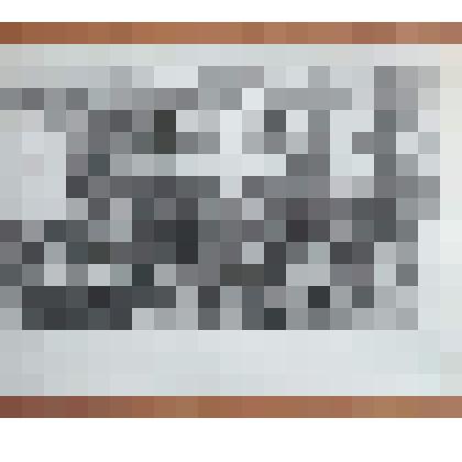 Фотография: трудящиеся г.Камень-на-Оби Алтайского края на митинге, посвященном 25-летию победы в Великой Отечественной войне