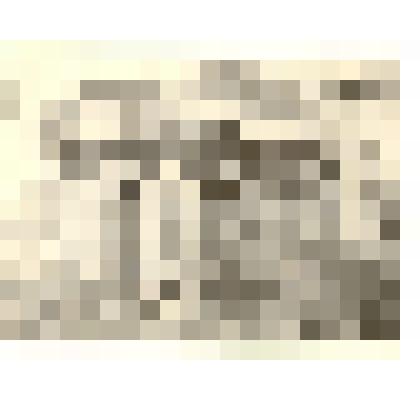 Фотография: веранда купца А.И.Винокурова в с. Тюменцево Тюменцевского района Алтайского края