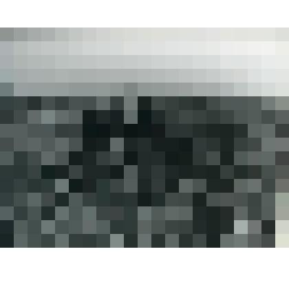 Фотография. Механизированная посадка овощей. Лист 9