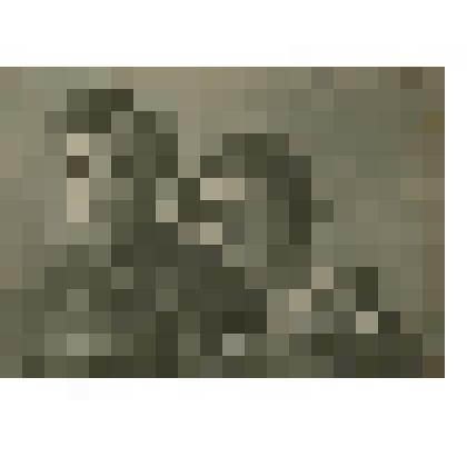 Фотопортрет двойной. Супруги Петр Гаврилович Пересада и Берта Михайловна Пересада