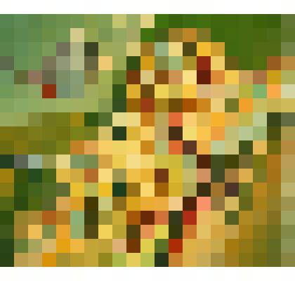 «Запад-Восток».2007