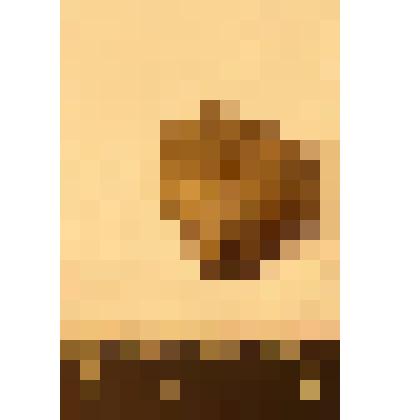 Нуклеус, фрагмент