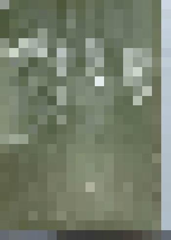 Фотография. Встреча Нового 1978 года: А.С. Сигорянин, Л.С. Митусова, Е.А. Сапрыкина, Л.В. Пронина