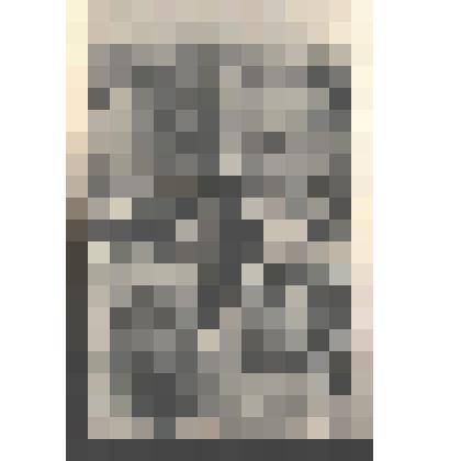 Фото открытка. Руфина Нифонтова