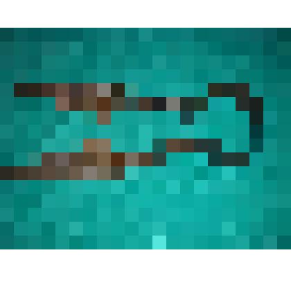 Ножницы для стрижки овец