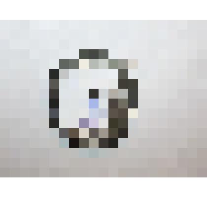 Значок общества "Моряк". Принадлежал: Фёдорову Ю. К