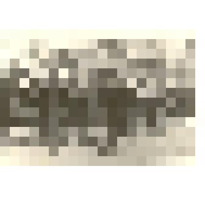 Фотография: колонна учащихся 2-й семилетней школы на демонстрации 1 мая 1960 года в г.Камне-на-Оби