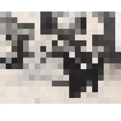 Знаменная группа 182 ОБПЛ. Фотография