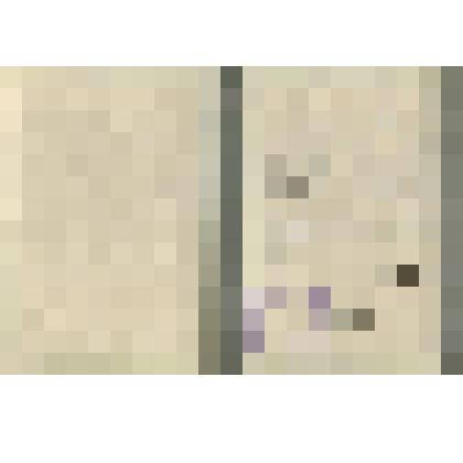 Диплом № 10 выдан Горинову С. В том, что он в 1975г. поступил в детско-юношескую спортивную школу на отделение лыжные гонки и в 1979г. закончил с первым разрядом