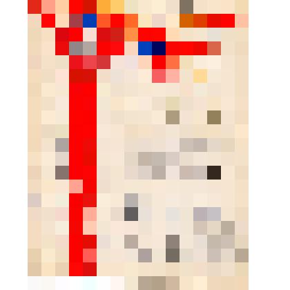 Похвальный лист  Перунова Виктора Ивановича, за активную работу в комсомоле.1964 год