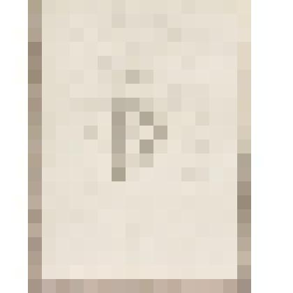 Стволы деревьев, из альбома  «190 пейзажей; зарисовки, иллюстрации, карикатуры»