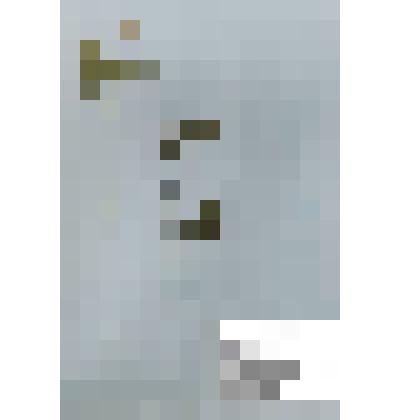 Гербарий
Майник двулистный