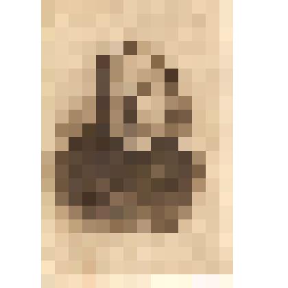 Открытка " Н.К.Крупская-Ульянова "// Серия открыток, посвященных В.И. Ленину. Издательство Межрабпома