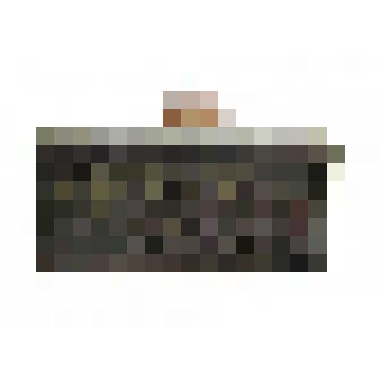 Штамп (ярлык) регистрационный