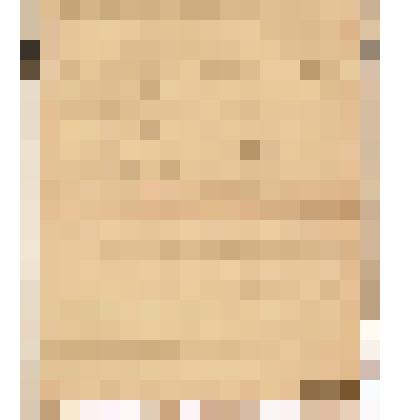 Телеграмма в Чердынь В.О.Алину от Пешехонова из Н. Челнов, 08.06.1904 г