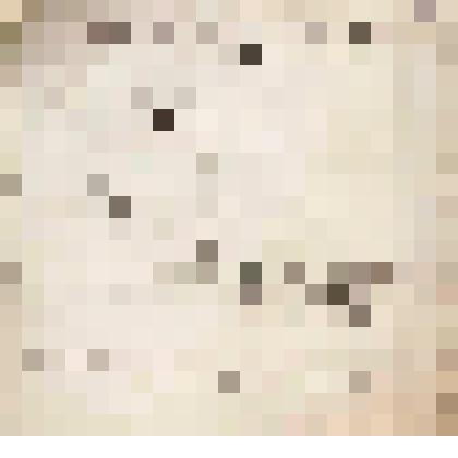 Записи по разводу для В.О.Алина от С.Могильникова, 17.07.1909 г