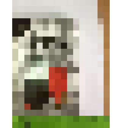 Книга. Шишов А.В. Тайны кавказских воин