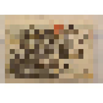 Почтовая карточка от Григорьевой Н.Г