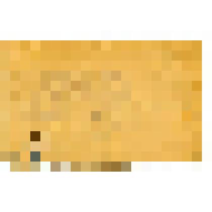 Документ. Удостоверение на имя Елисеева, выданное Кинель-Черкасским районным продовольственным комитетом