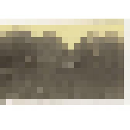 Фотография "Трактор пашет поле"