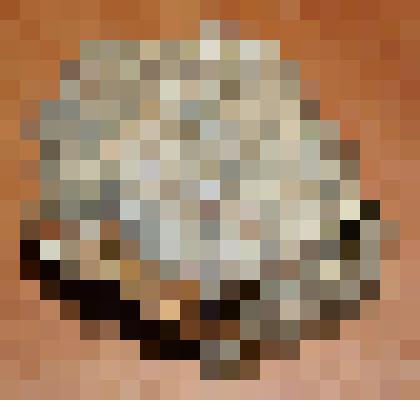 Грейзенизированный кварцевый монцонит