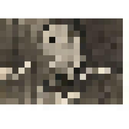 Фотооткрытка "Юрий Гагарин рассказывает о своём полёте" с фото Е.Тиханова