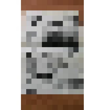 Спецвыпуск "Каменской народной газеты" от 24 сентября 2004 г. в честь 86-летия газеты