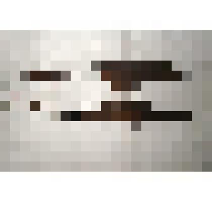 Ножницы для стрижки овец