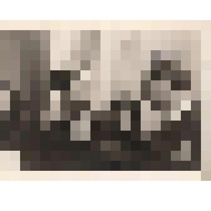 Фотография. Кассиль Л.А., Кассиль В.Л., Кассиль В.А., неизвестная