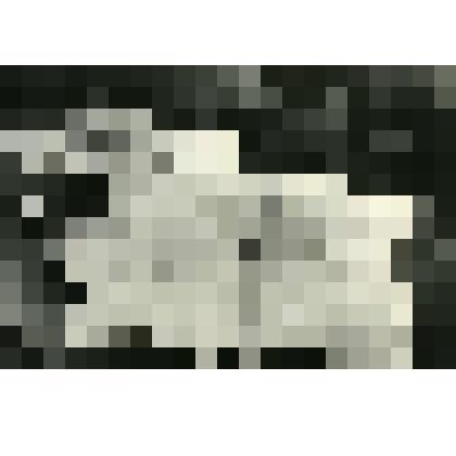 Фотография. Подписные листы о закрытии церкви Богоявления по Большой Дорогомиловской улице