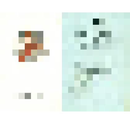 Орденская книжка