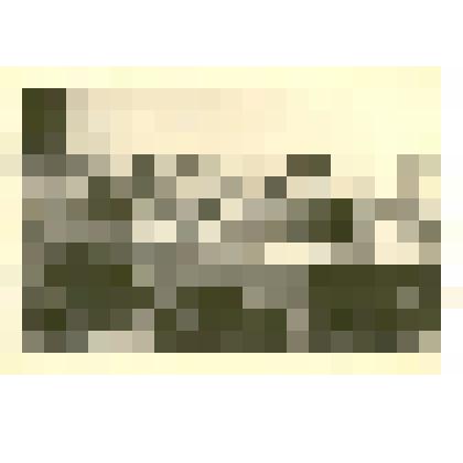 Фотография: сдача экзаменов счетчиками по проведению Всеобщей переписи населения 1959 г. в г.Камень-на-Оби