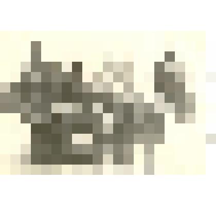 Фотография: колонна работников ткацкой фабрики на демонстрации  1 мая 1969 г. в г.Камень-на-Оби