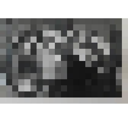 Фотография(ч/б).Встреча выпускников МСШ №1 1949-1950 учебного года