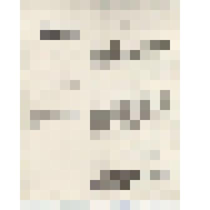 Фотокопия. Ходатайство департамента полиции о разрешении земскому врачу С.Я. Эленгорну повсеместного в империи жительства, от 4 июня 1901 г. (1 лист). Из комплекта: Фотокопии документов "Дело департамента полиции на бывшего студента Московского университе