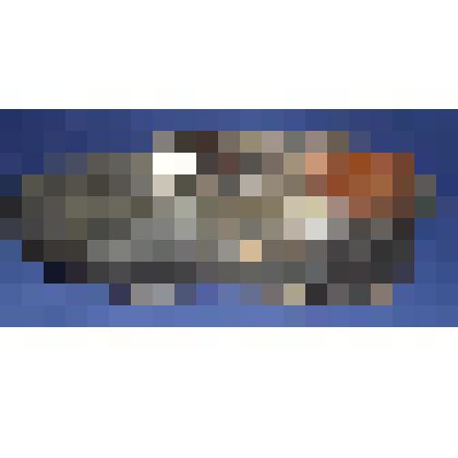 Туфля женская левая (чарка)