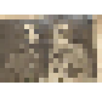 Фотография ч/б "Ситников Герман и Петр Морев"