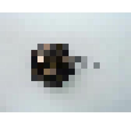 Пуговица на ножке, отделочная