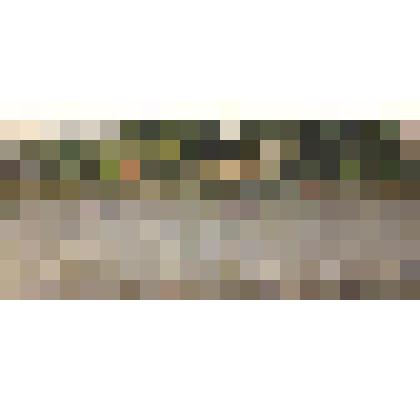 Картина. Плес